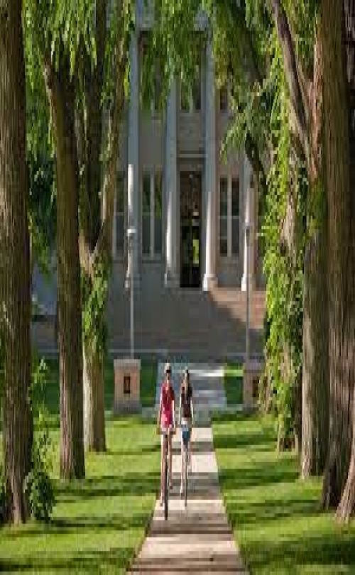 INTO Group - Colorado State University